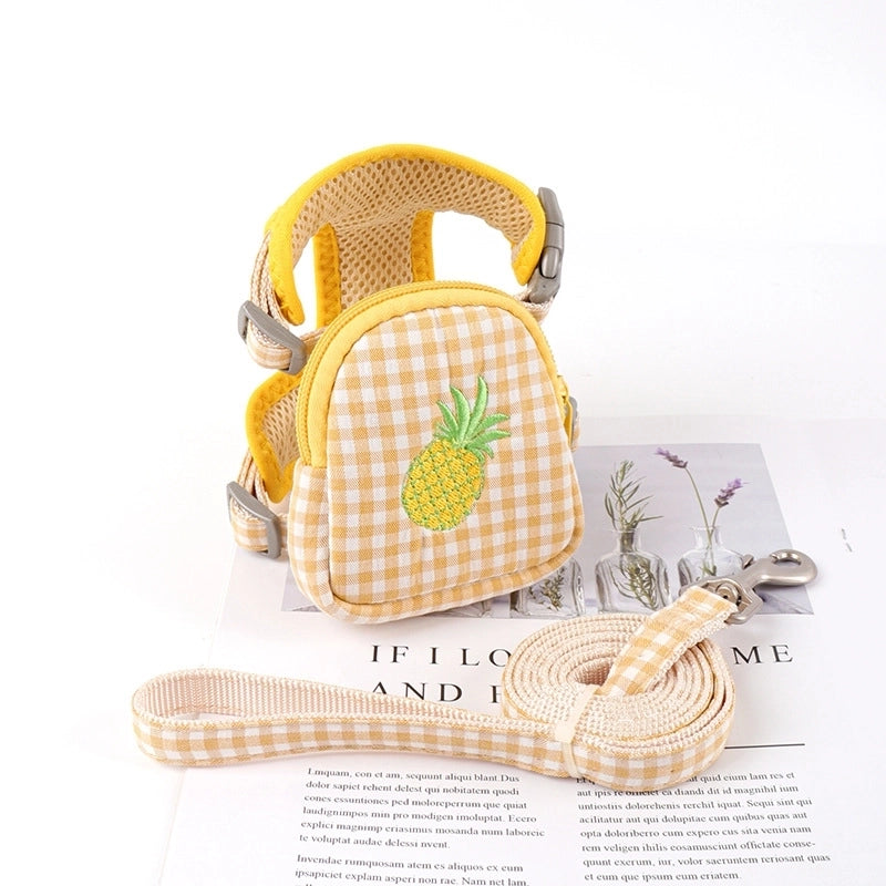 Minimalist Classic Style Polyester Color Block Leash