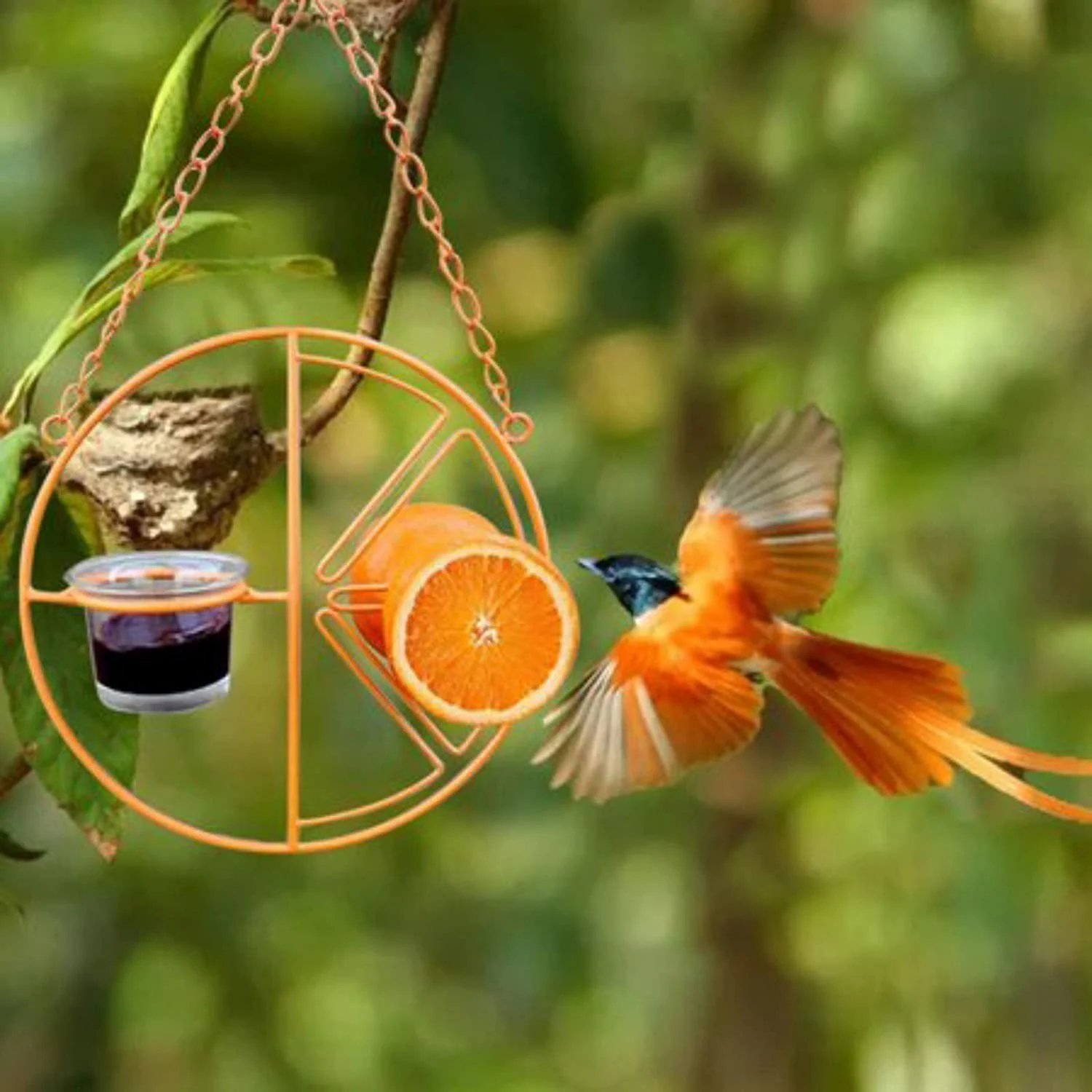 🔥2-in-1 hanging hummingbird oriole feeder