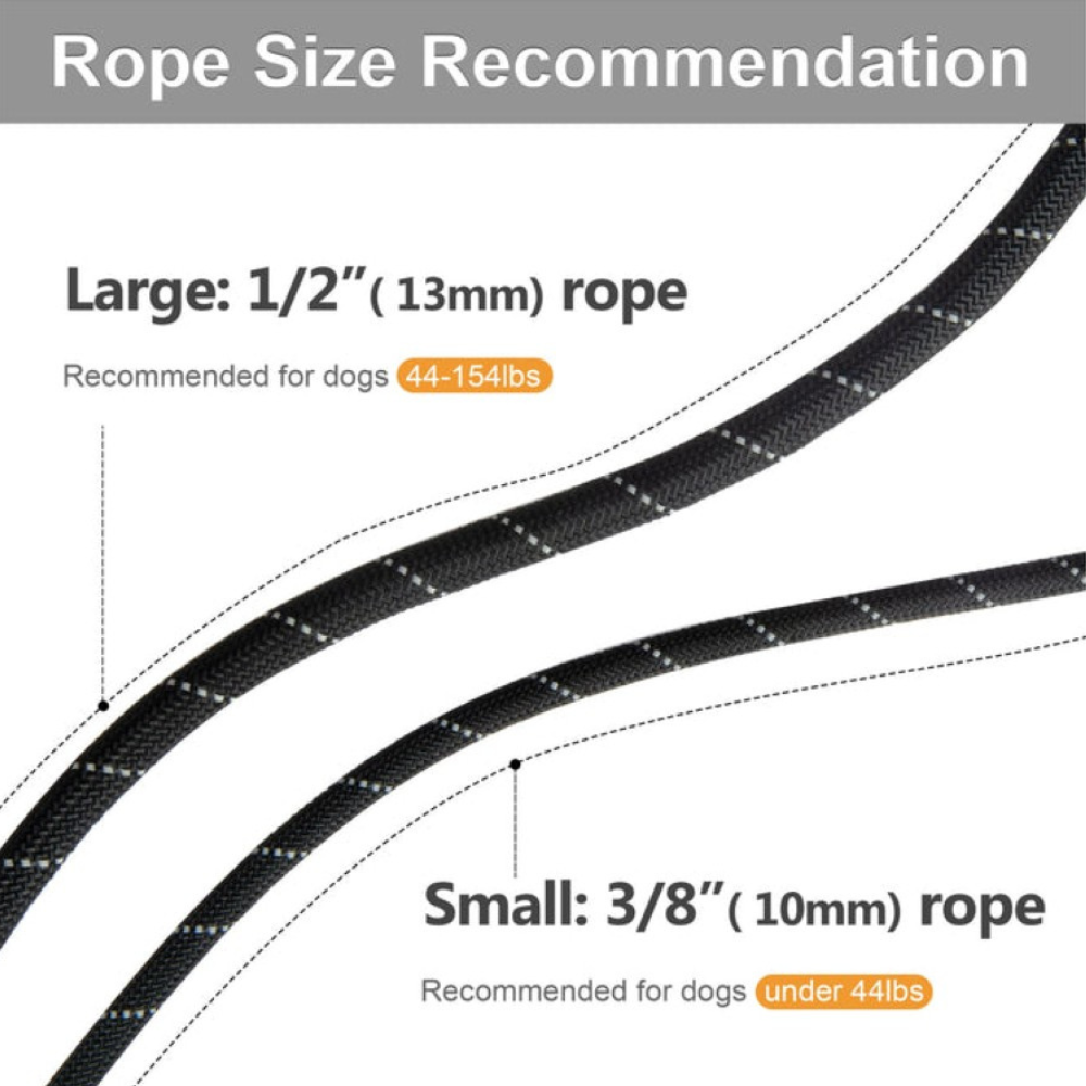 Sturdy Slip Training Leash