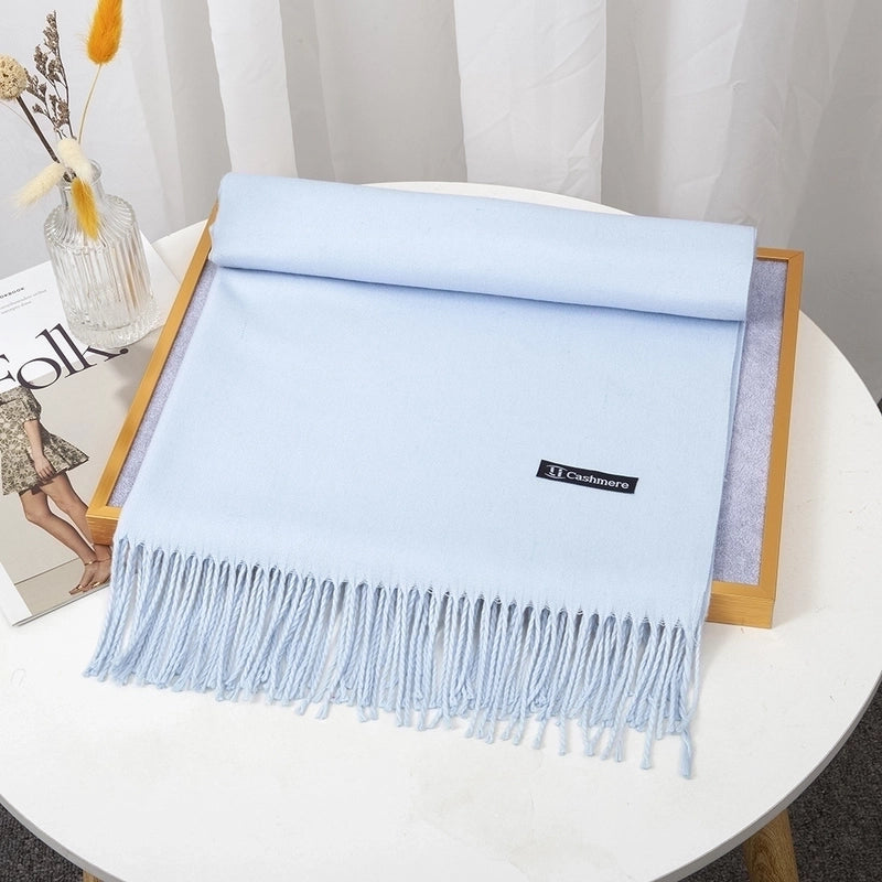 Women's Minimalist Solid Color Imitation Cashmere Tassel Scarf