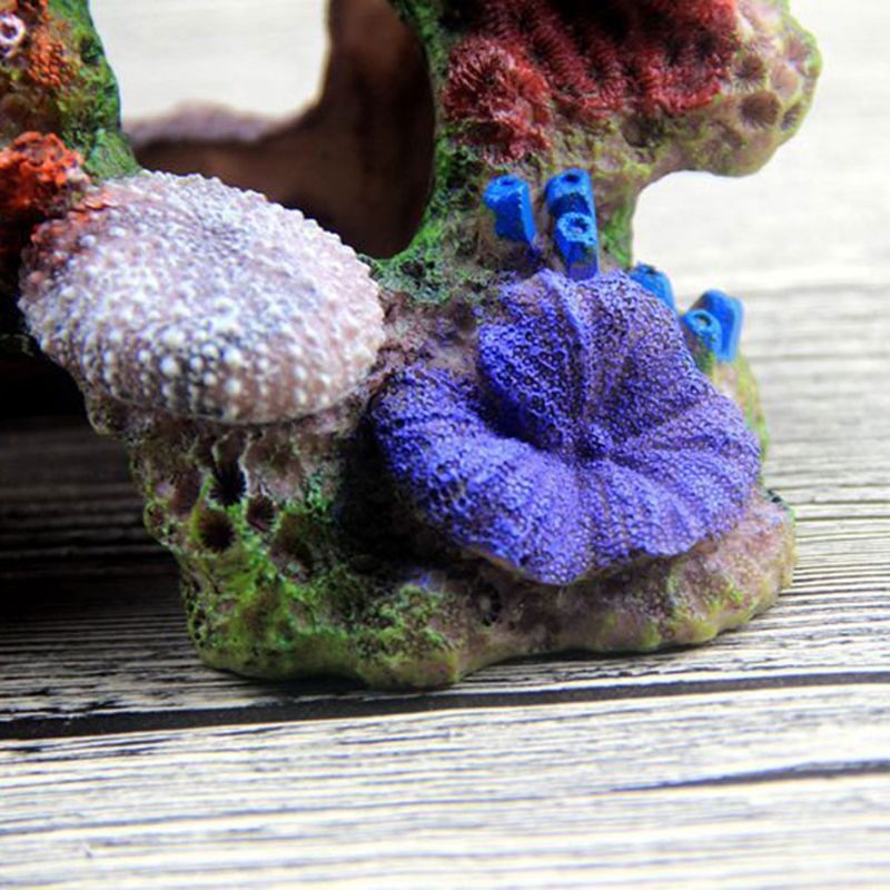 Living Reef Ornament For Aquarium
