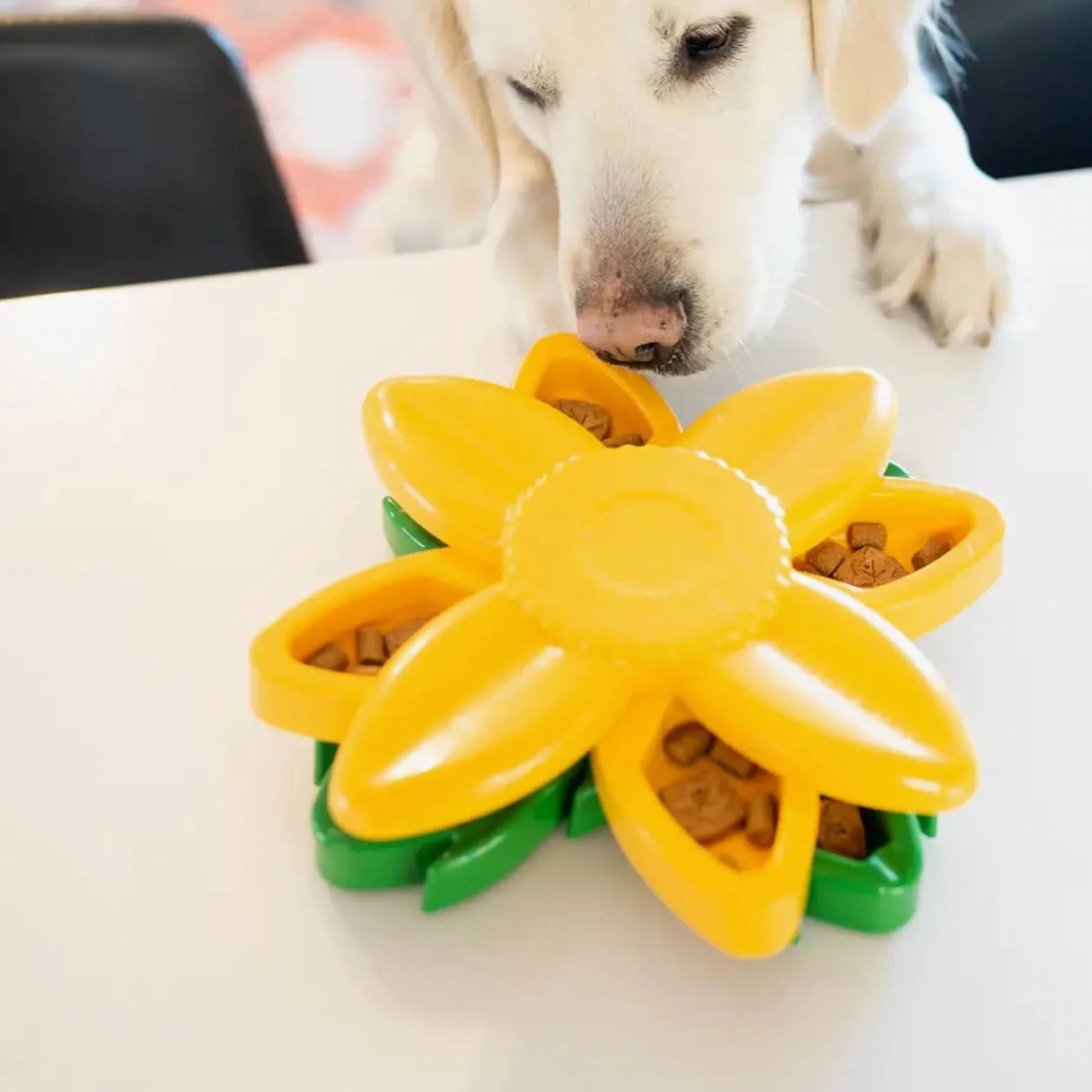 SmartyPaws Puzzler Interactive Dog Toy - Sunflower