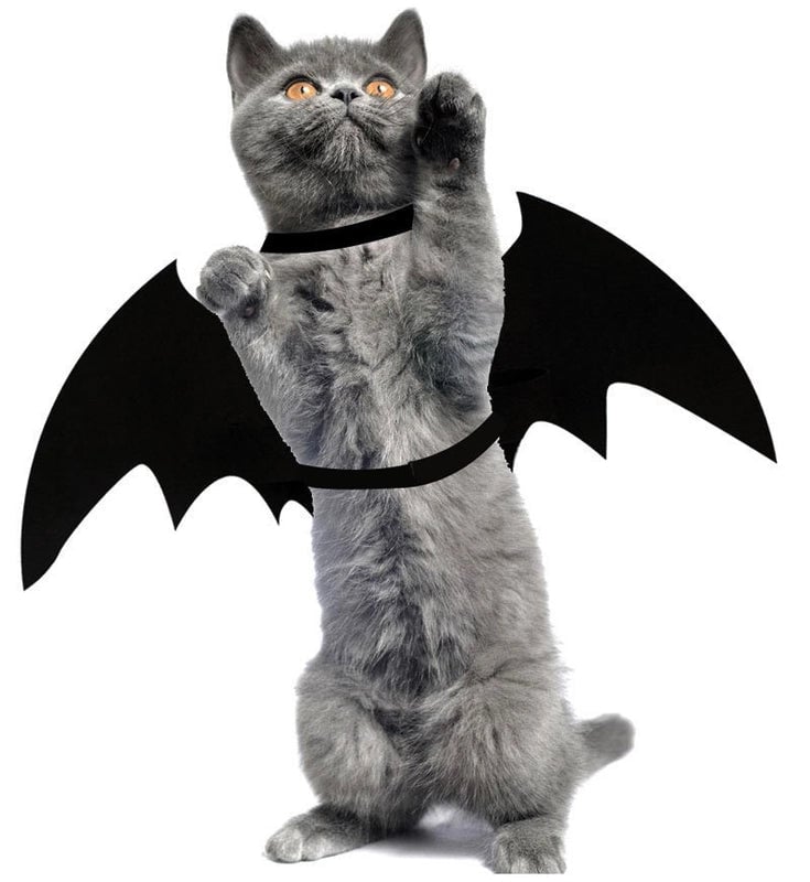Cartoon Style Cloth Halloween Solid Color Pet Clothing