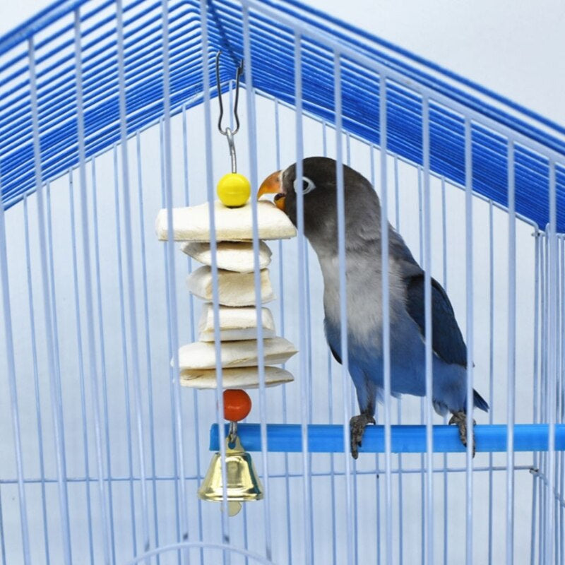 Parrot Cuttlefish Bone Toy