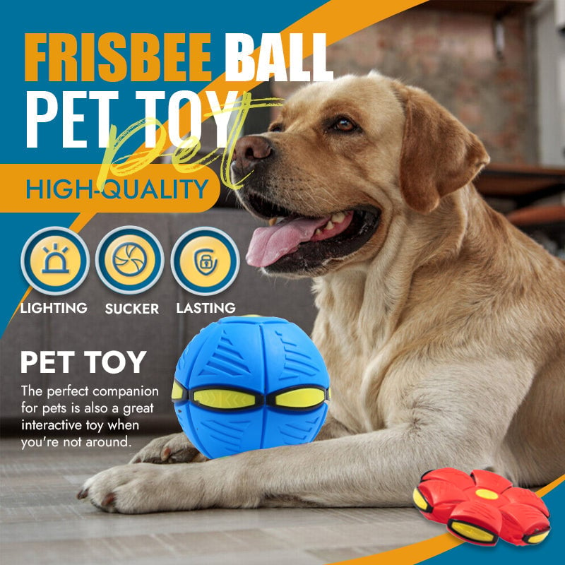 🐾Pet Toy Flying Saucer Ball🔥Buy 2 & Free Shipping