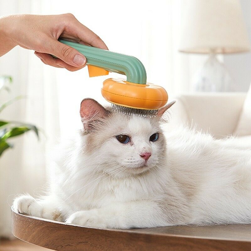 Pets Grooming Brush