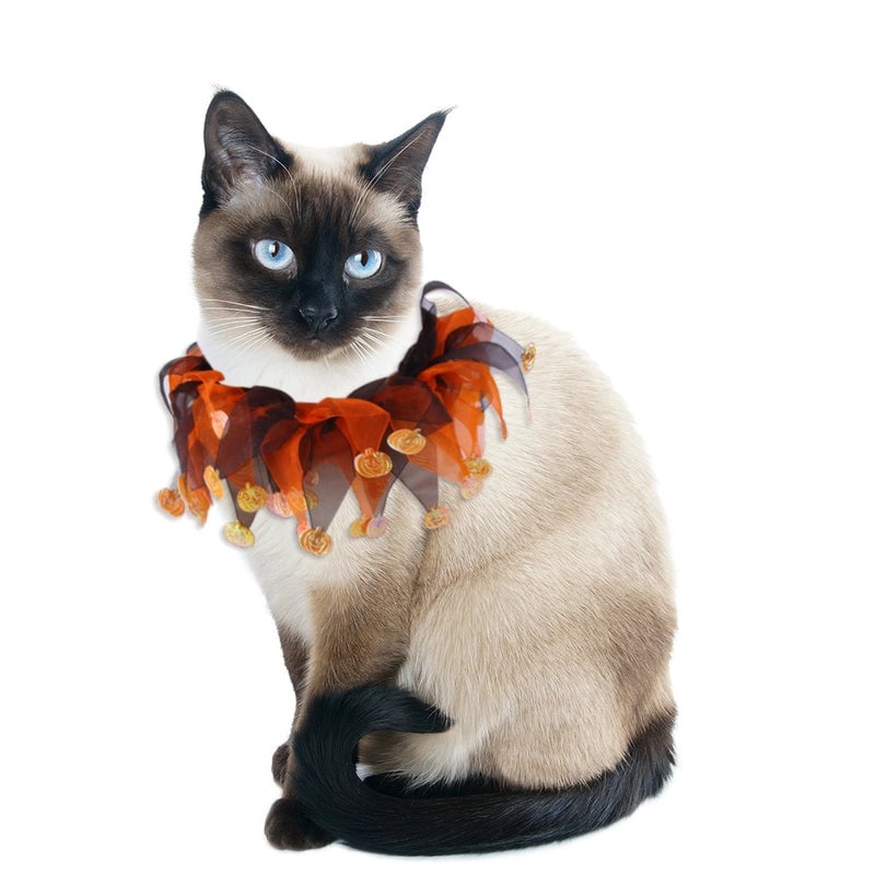 3 Pieces Cute Halloween Pumpkin Pet Collar