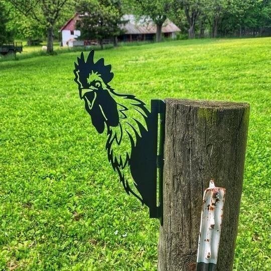 🔥Farm Peeping Animal Metal Art