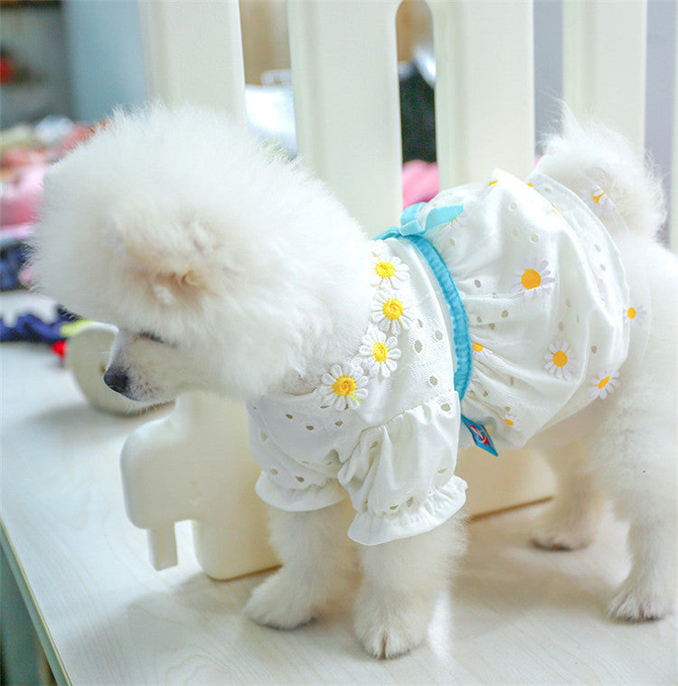 Bowknot Lace Dresses For Dog Cat