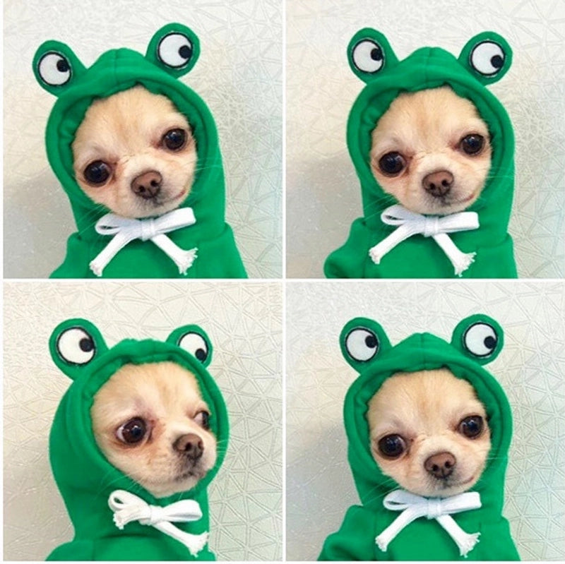 Puppy Dog Autumn And Winter Small And Medium-sized Dog Love Two-legged Cat Cute Pet Clothes Supplies