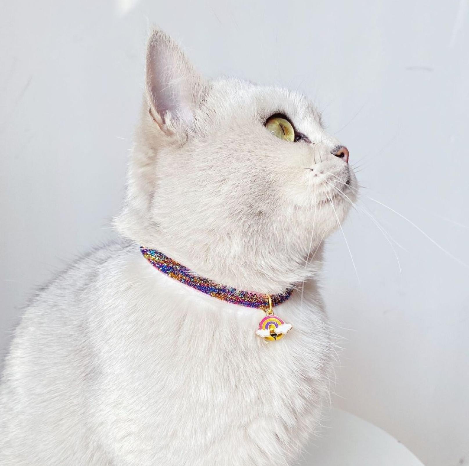 Rainbow Adjustable Pet Collar