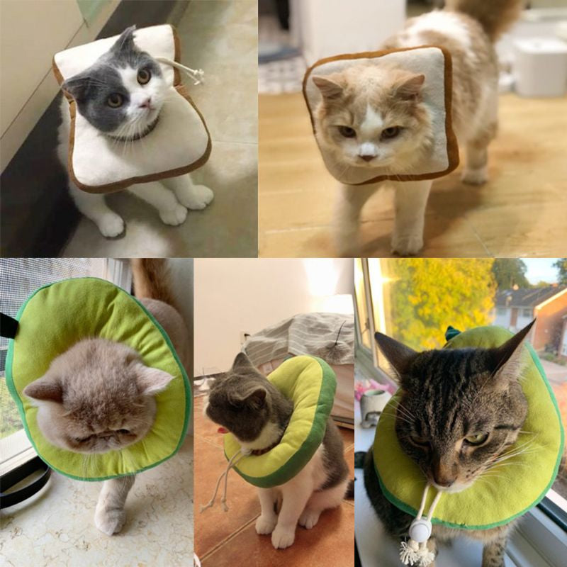 Adjustable Cat Recovery  Collar