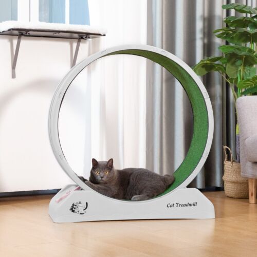 Cat Exercise Treadmill