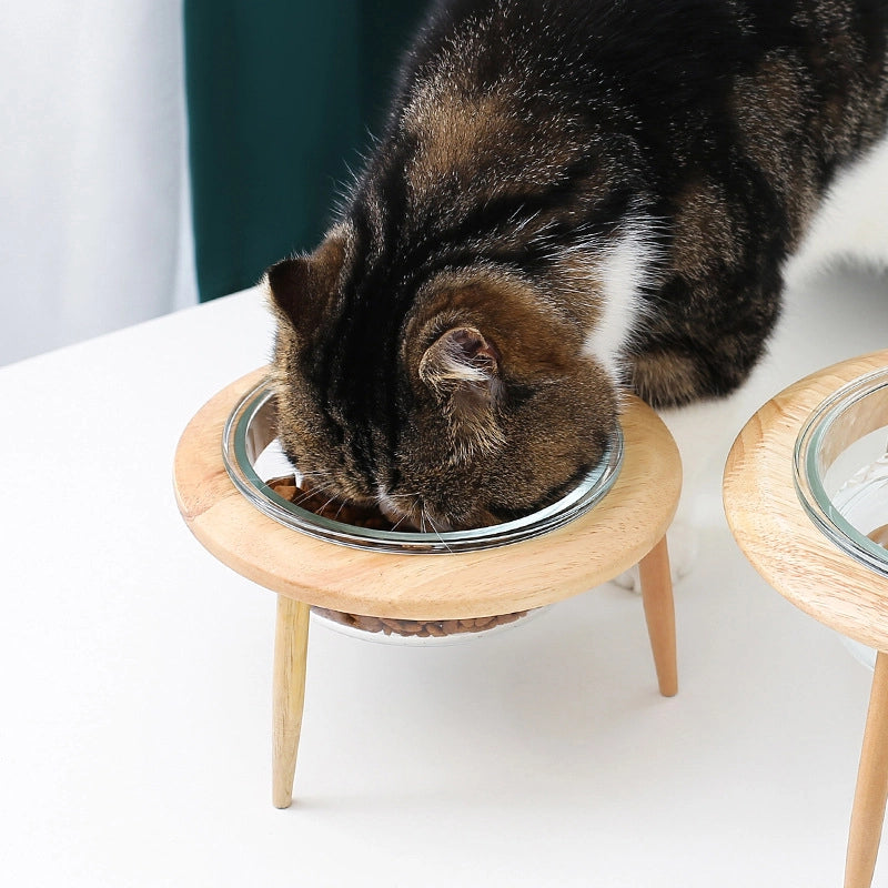 Glass Cat Bowl High Foot Protection Cervical Spine Cat Food Bowl Cat Dog Cat Basin Drinking Water Bowl Pet Ceramic Bowl Solid Wood Rack