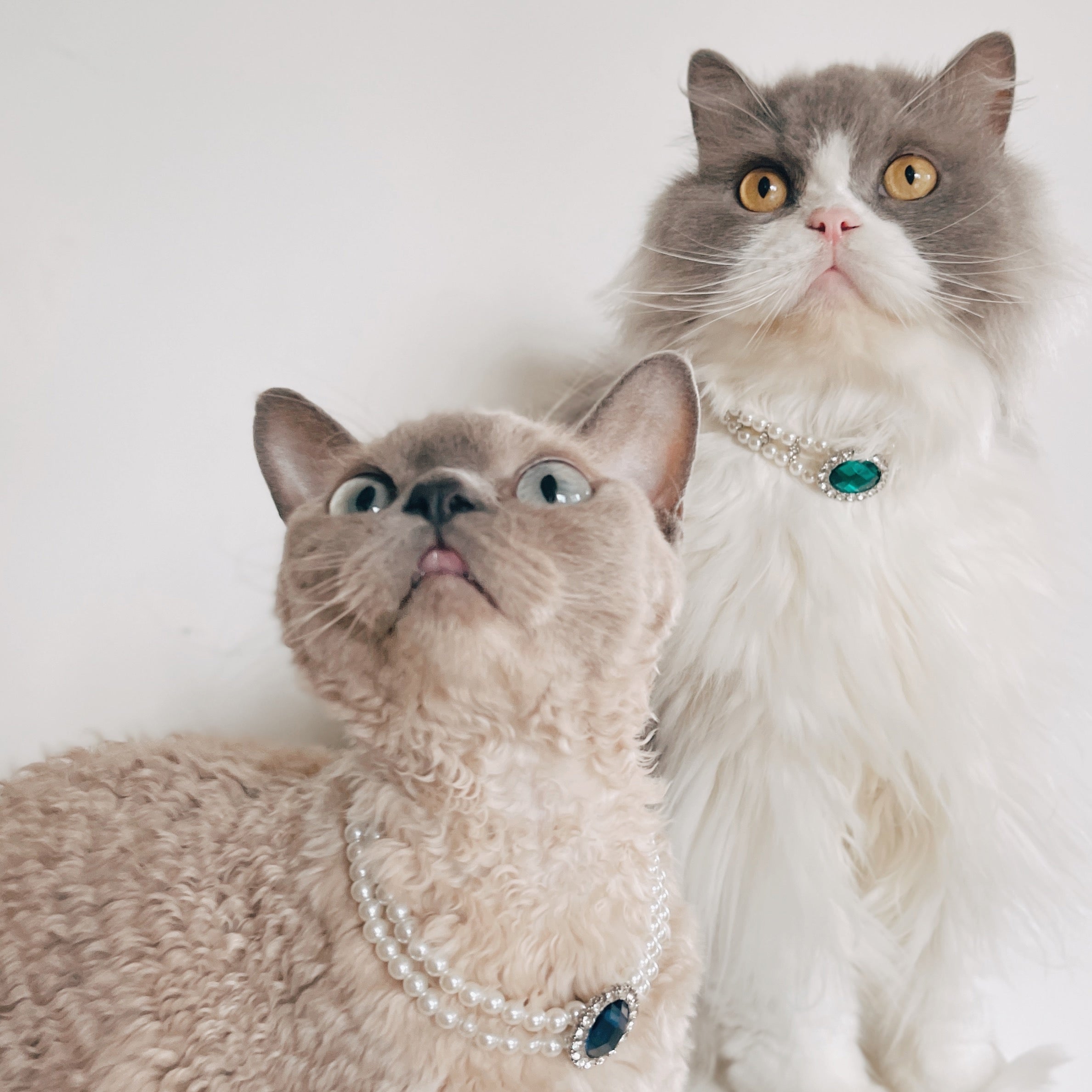 Rhinestone Pearl Design Pet Necklace
