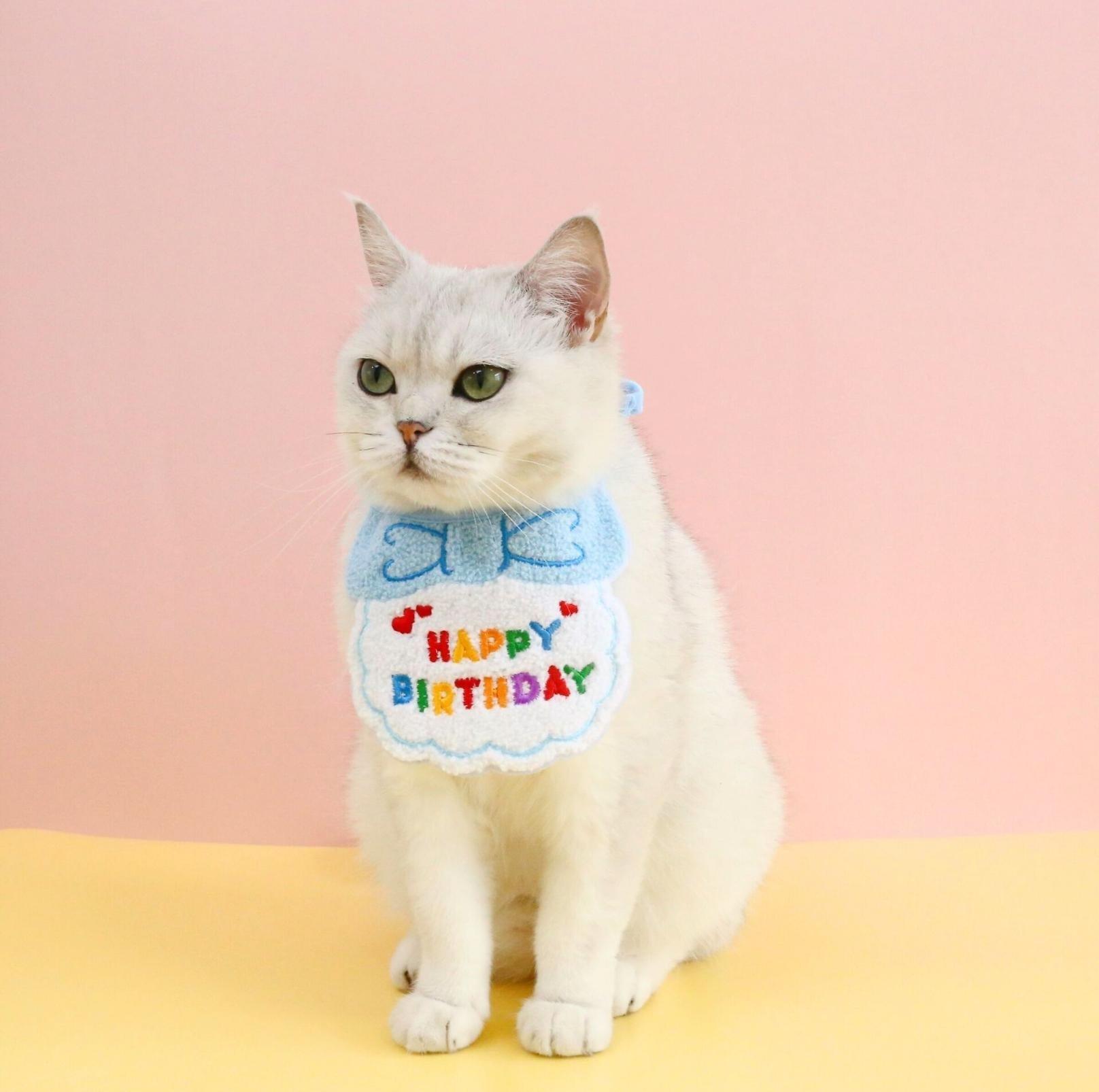 Pet Birthday Ensemble - Embroidered Accessory with Bowtie