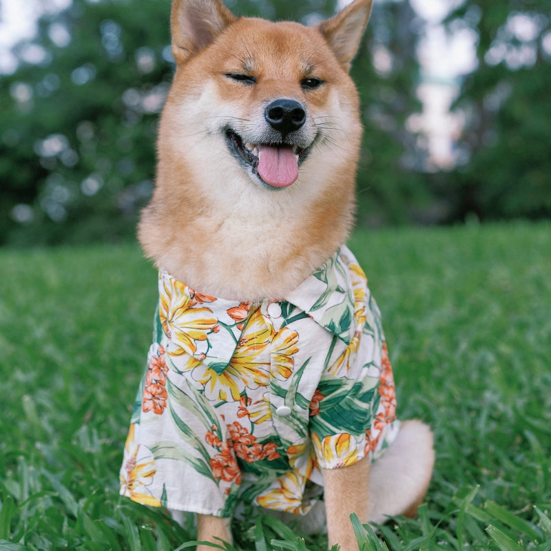 Hawaiian Matching Shirt For Dog and Owner Clothes