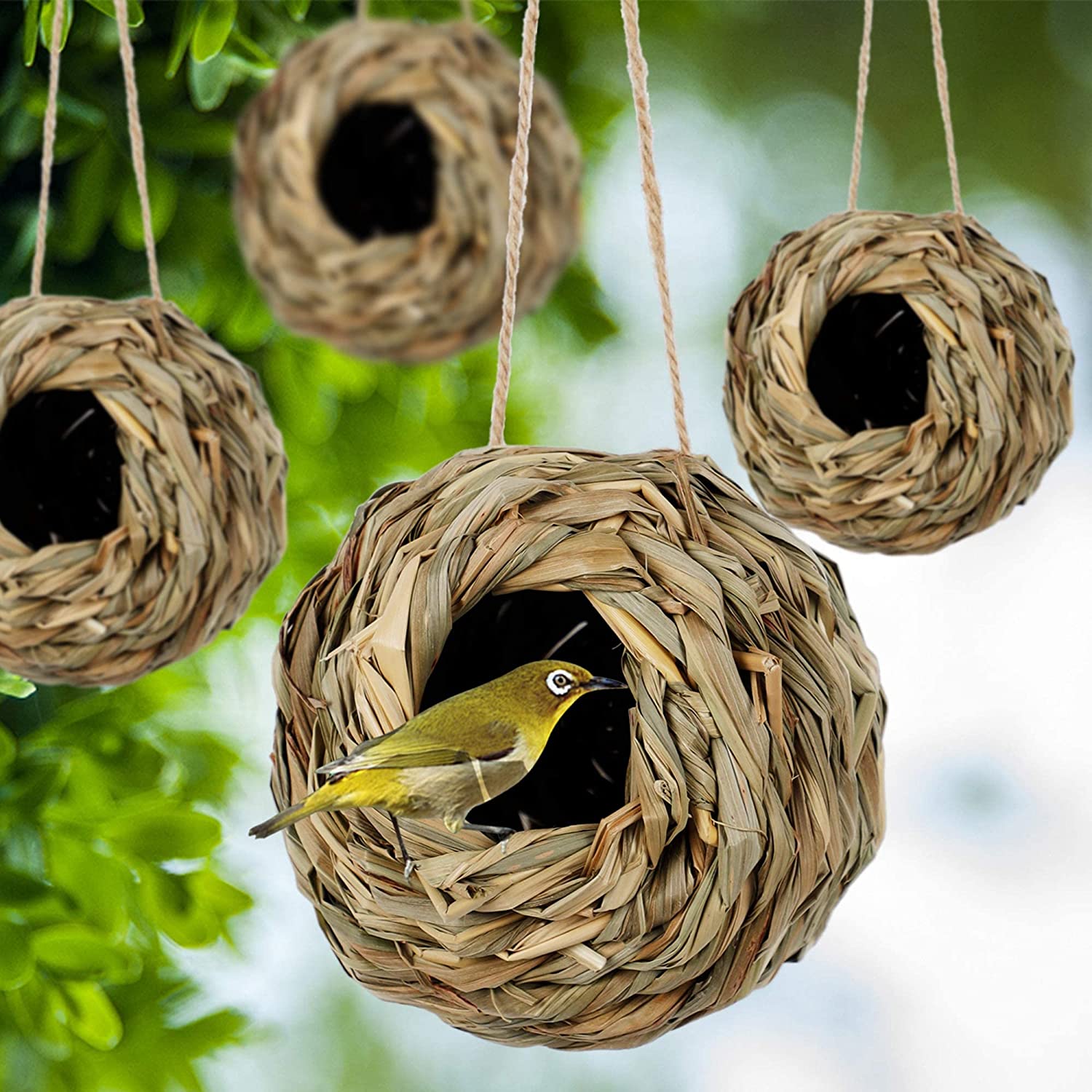 💲49% OFF-🐦Hummingbird Nest House