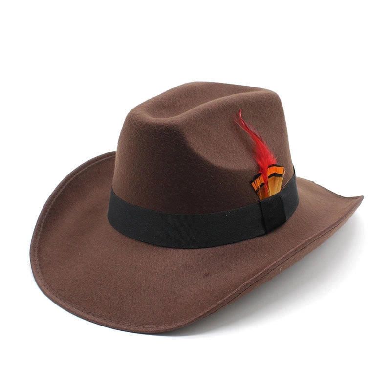 New Feather Hat Autumn And Winter Big Brim Hat Fashion Men's And Women's Cashmere Felt Hat Style Hat