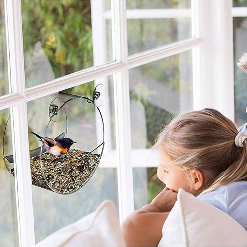 Round Acrylic Bird Feeder