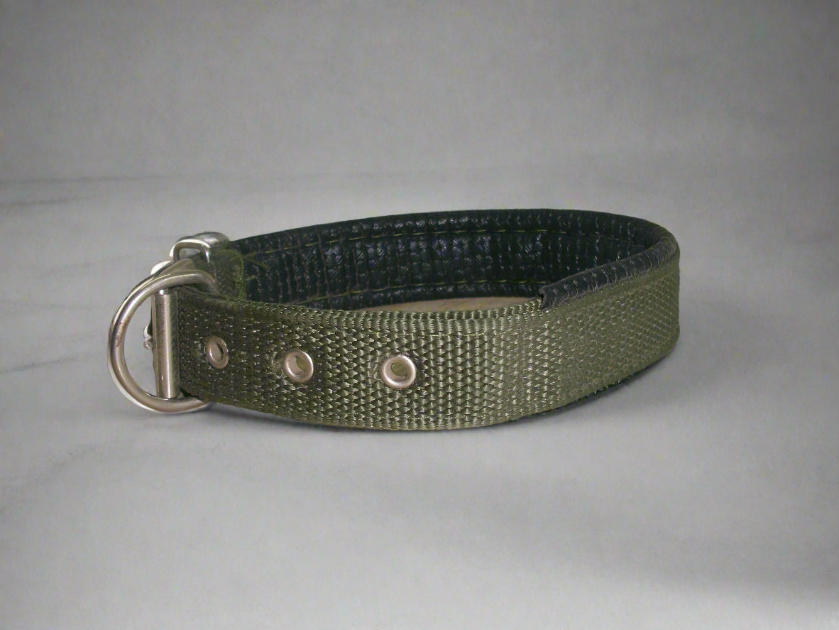 Leather - Embeded Dog collar