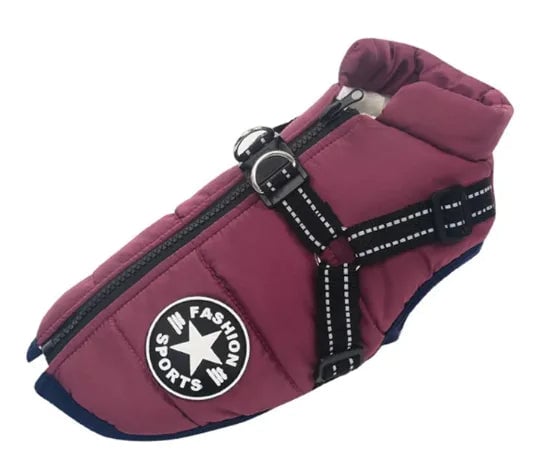 PolarPaw Fashion Sports Dog Jacket