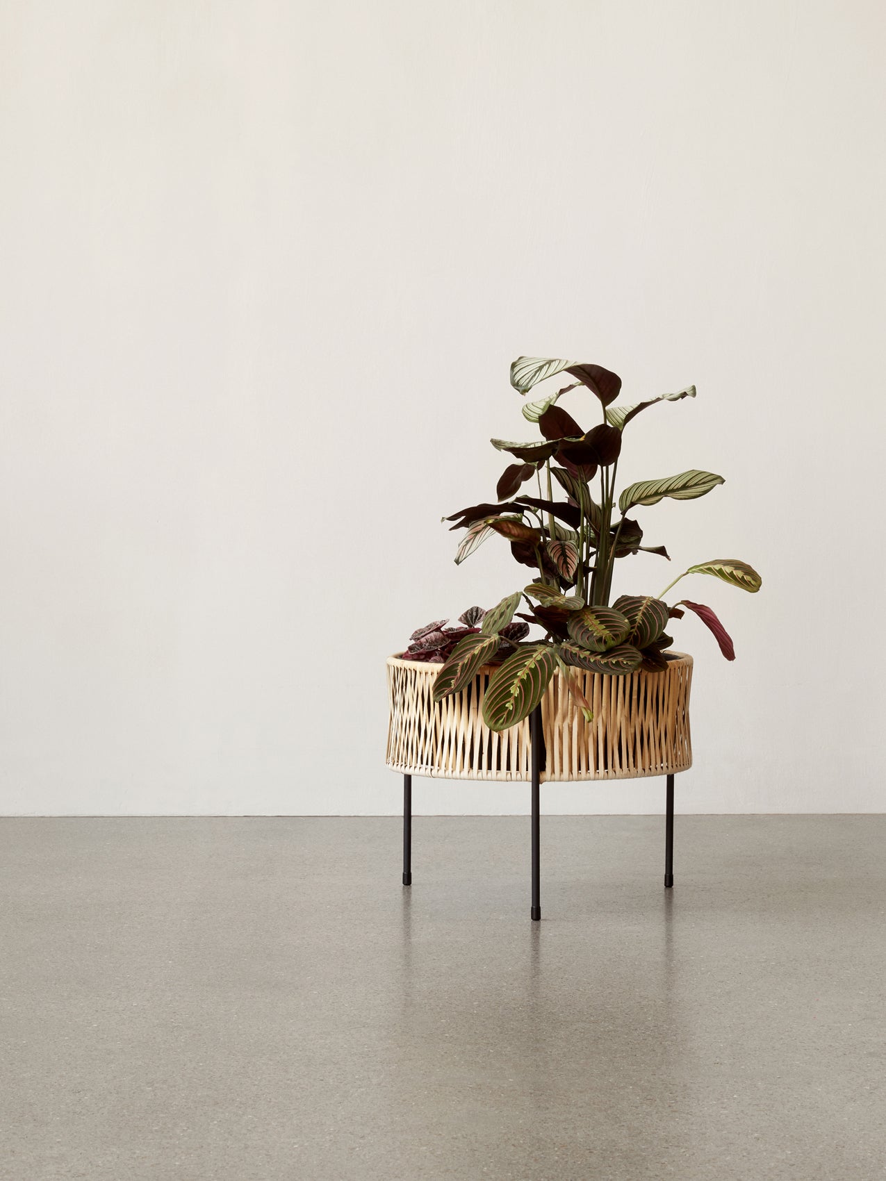 Umanoff Planter