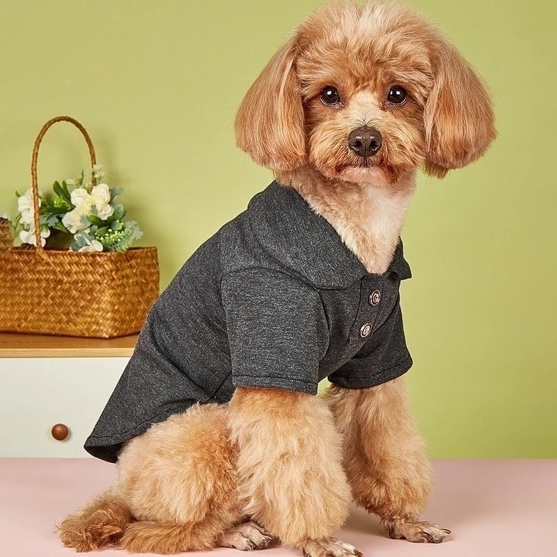 Minimalist Polyester Solid Color Pet Clothing
