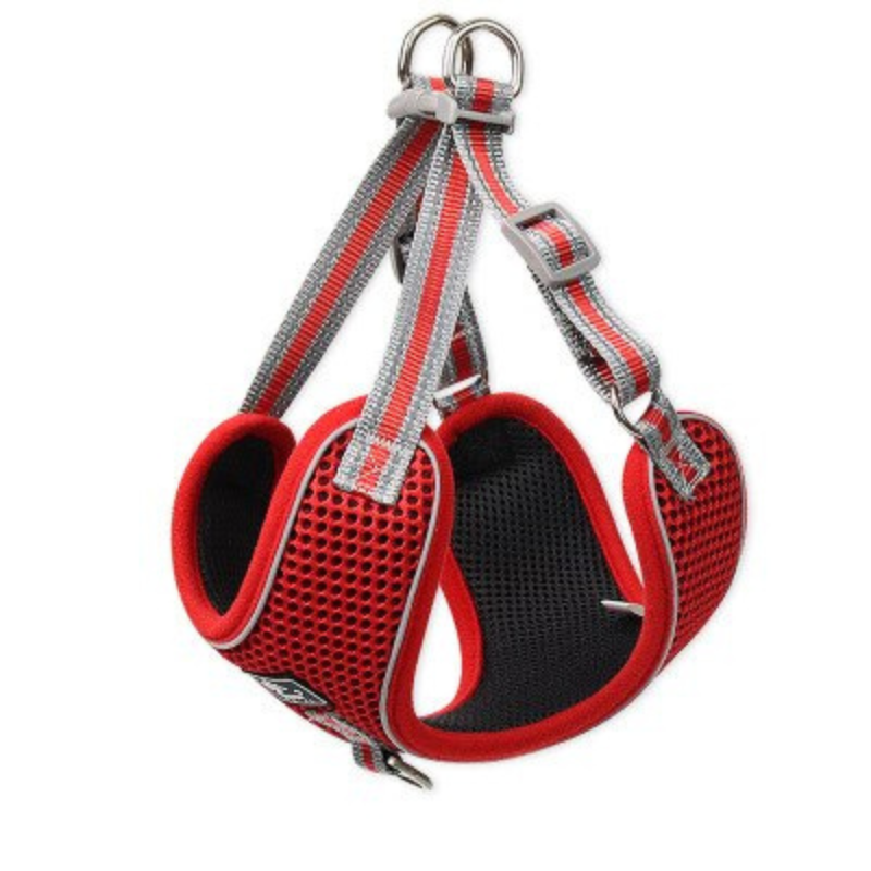 Breathable Pet Harness And Leash Set