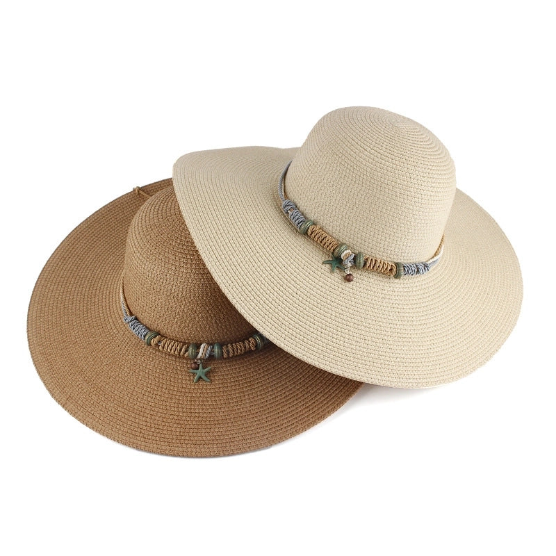 Women's Korean Style Solid Color Big Eaves Straw Hat
