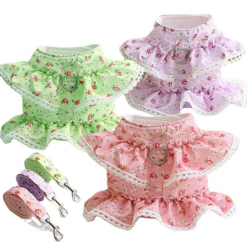Cute Vest Harness And Leashes
