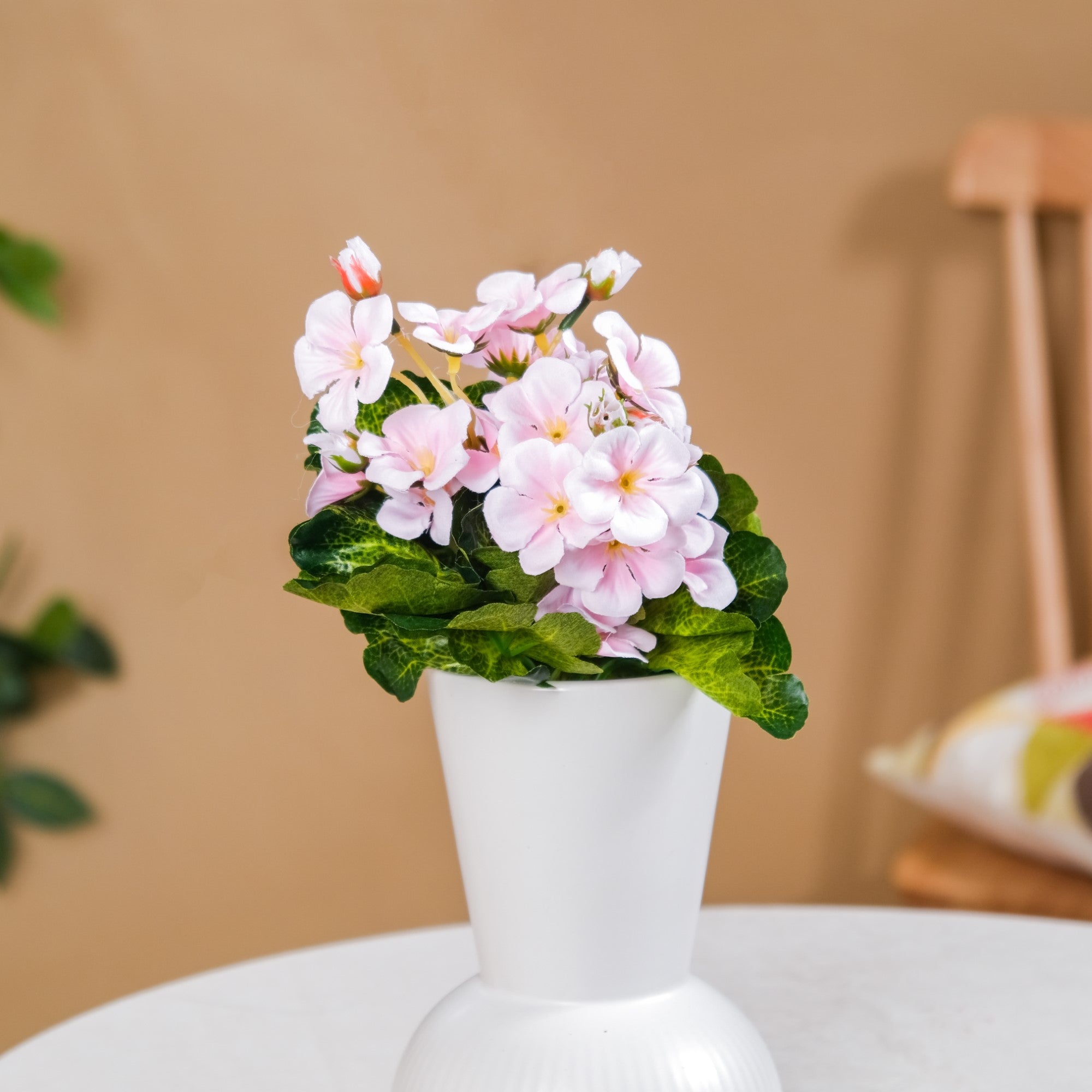 Begonia Flower Stem