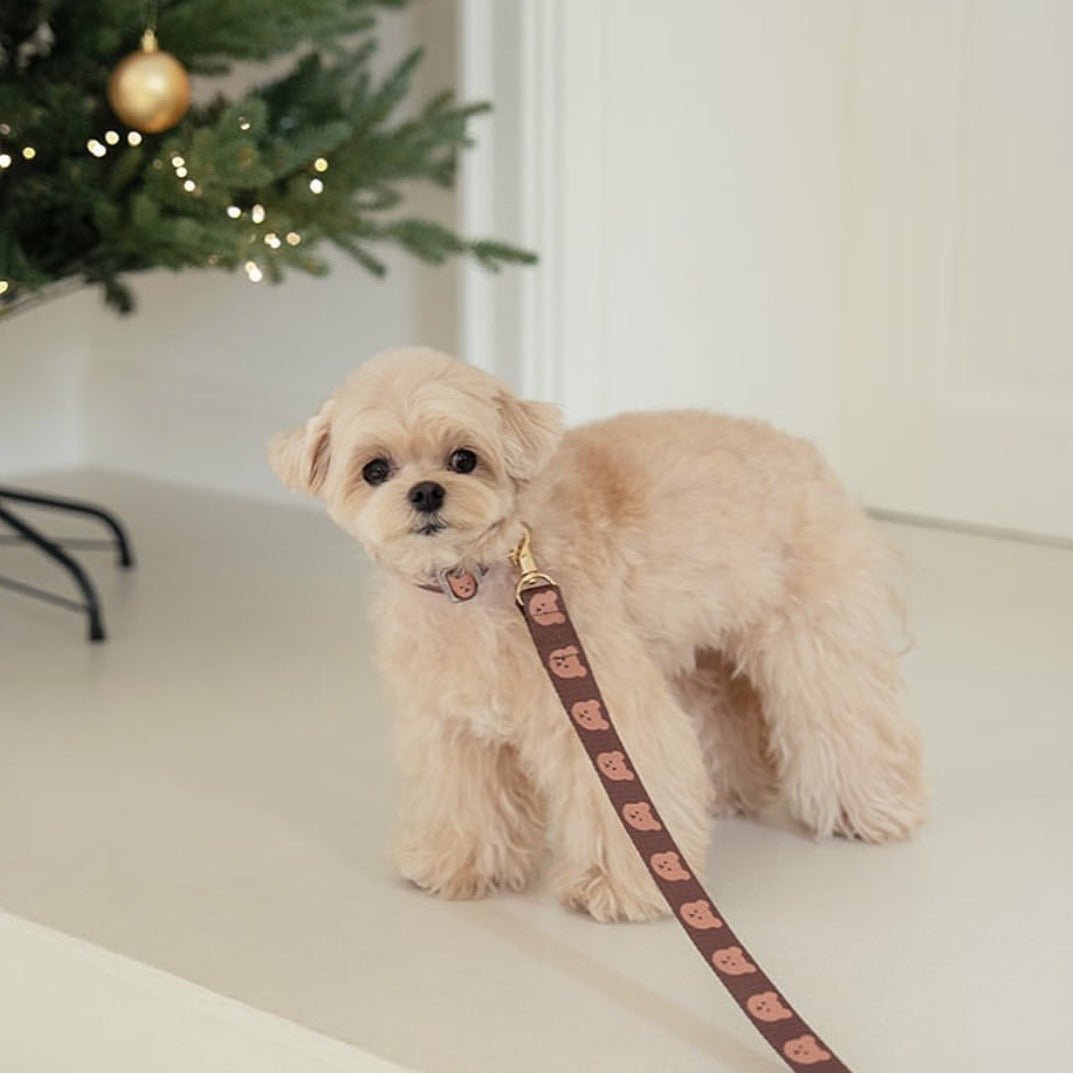 Little Bear Printed Dog Collar&Leash Set