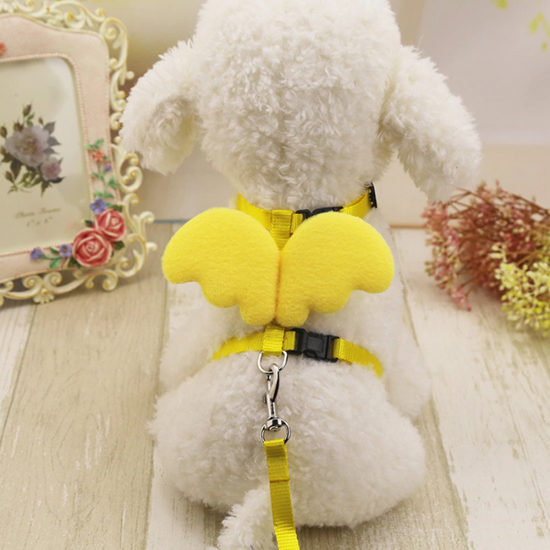 Cute Angel Pet Dog Leashes And Collars Set