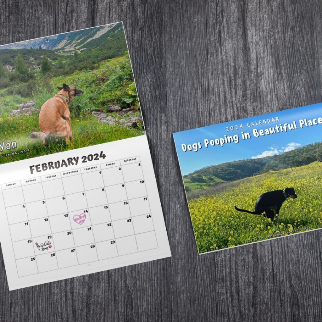 😆Funniest calendar of the century|Artistic expression of furry friends