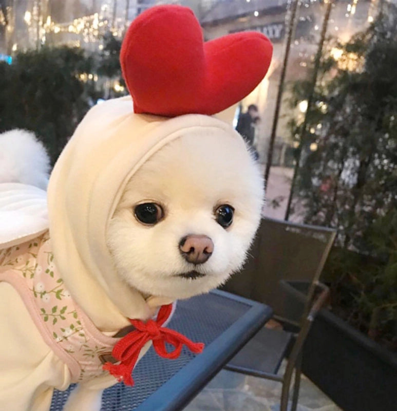 Puppy Dog Autumn And Winter Small And Medium-sized Dog Love Two-legged Cat Cute Pet Clothes Supplies