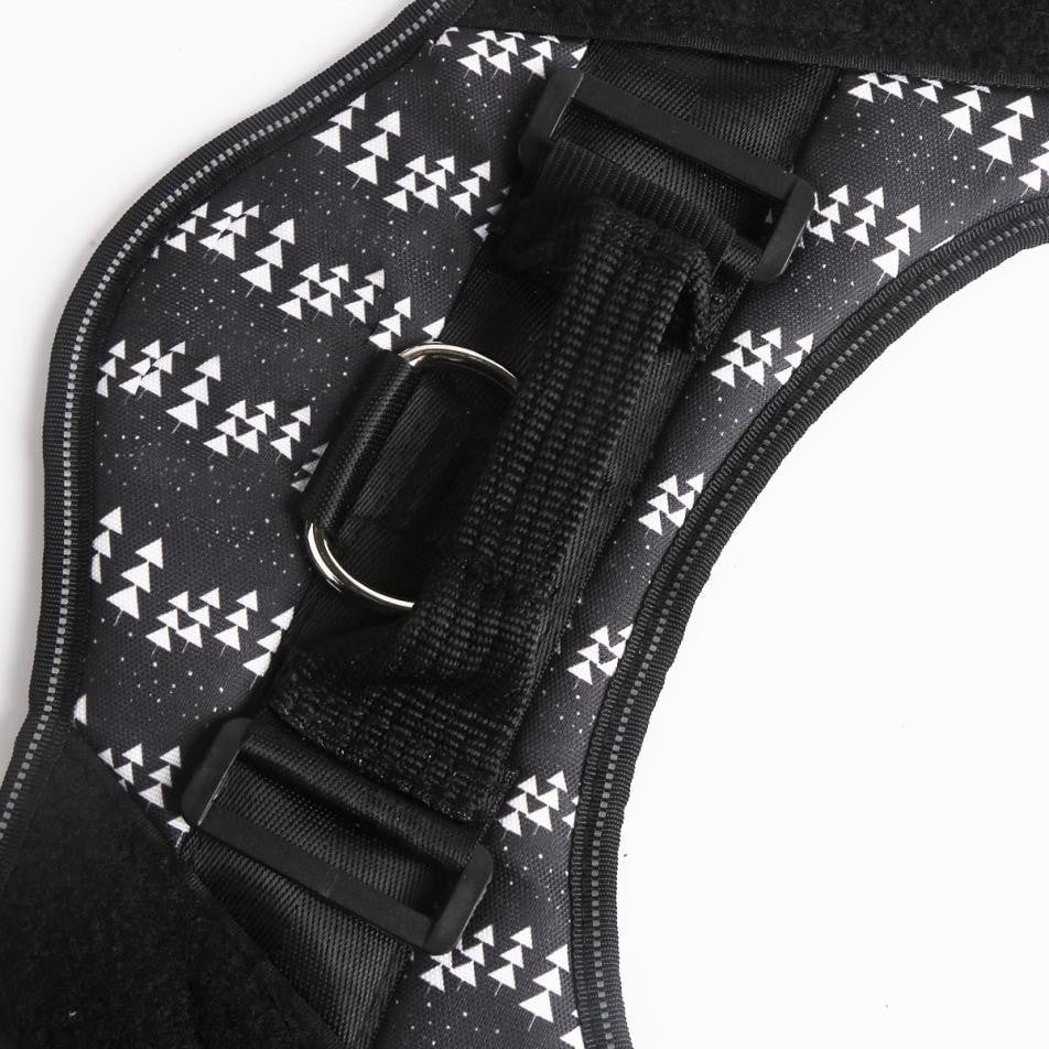 Custom No Pull Dog Harness with Name and Phone Number. Heavy Duty Personalized Pet Vest