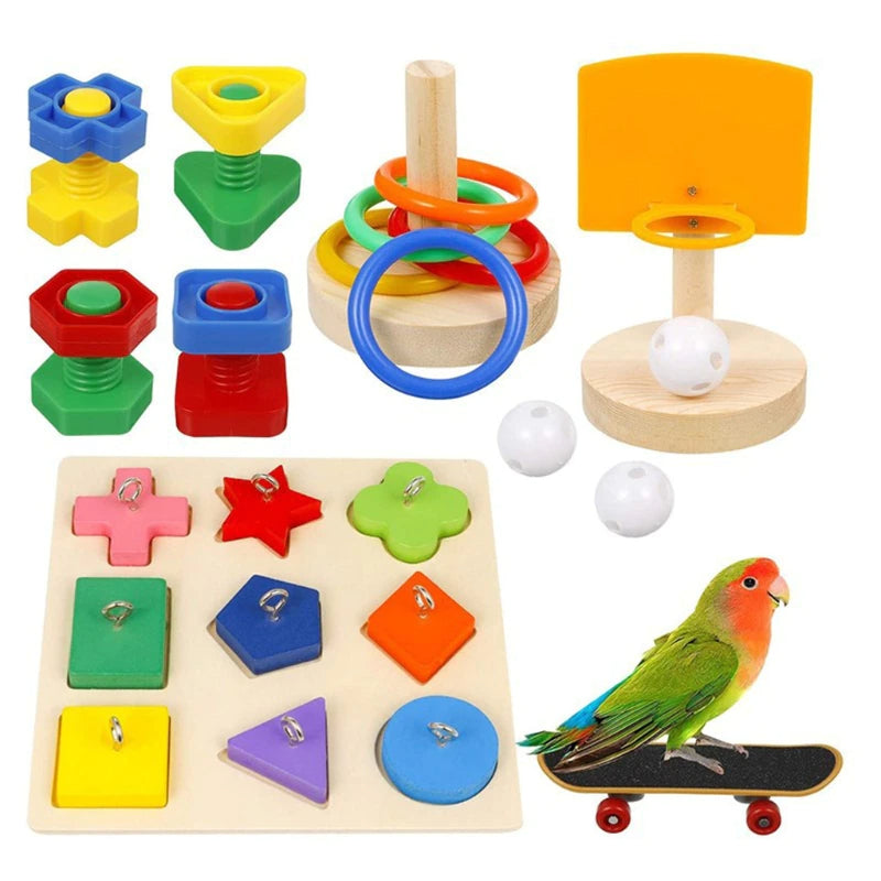 5 Pcs Bird Training Toys