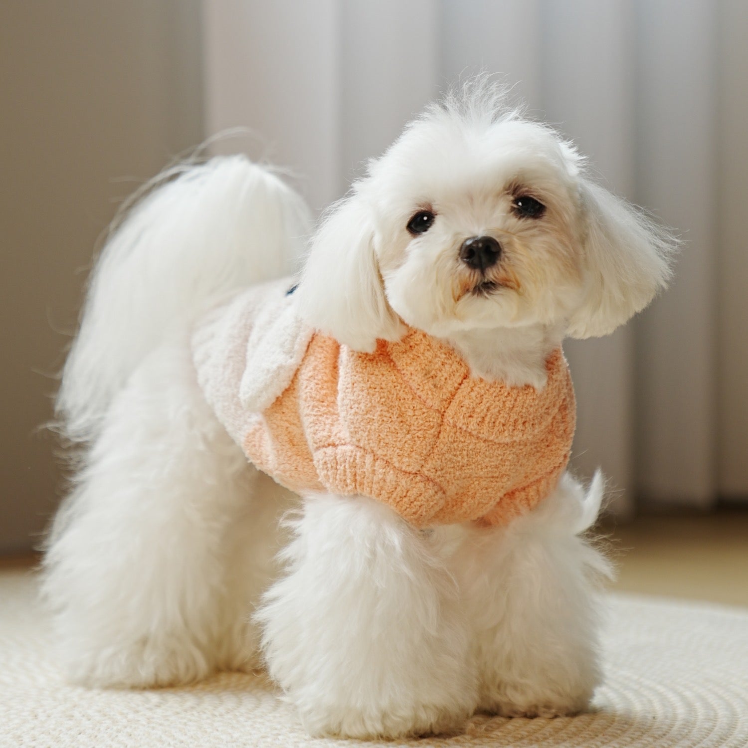 Soft Warm Bear Head Pattern Dog Cat Sweater