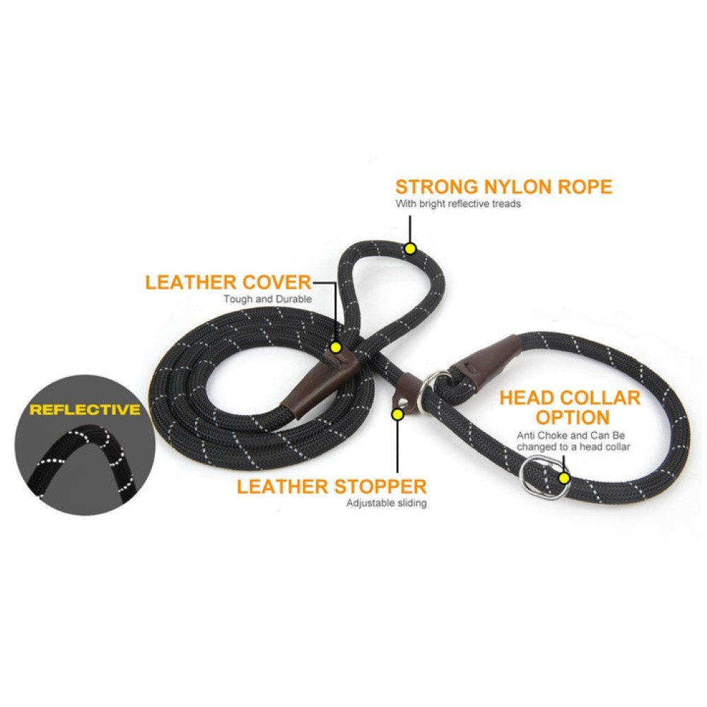 Sturdy Slip Training Leash