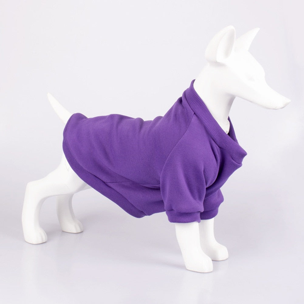 Multi-Color Warm Dog Hoodie