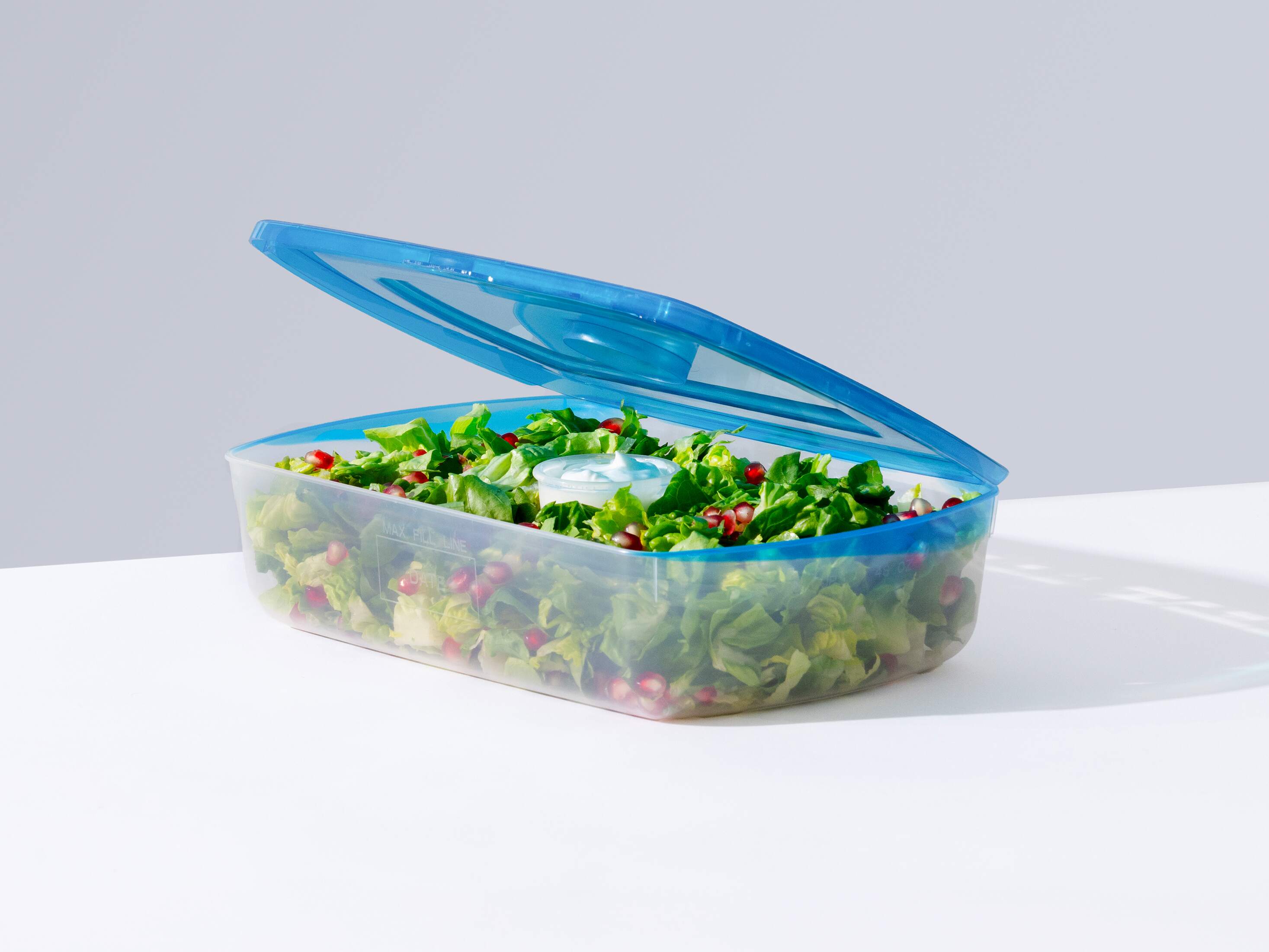 SALAD CONTAINER