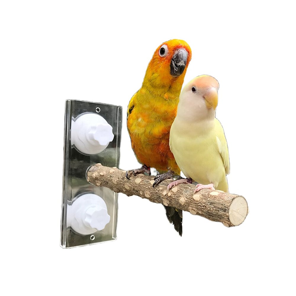 Pet Birds Parrot Perches Toys