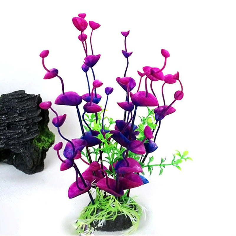 Large Aquatic Plant For Aquarium