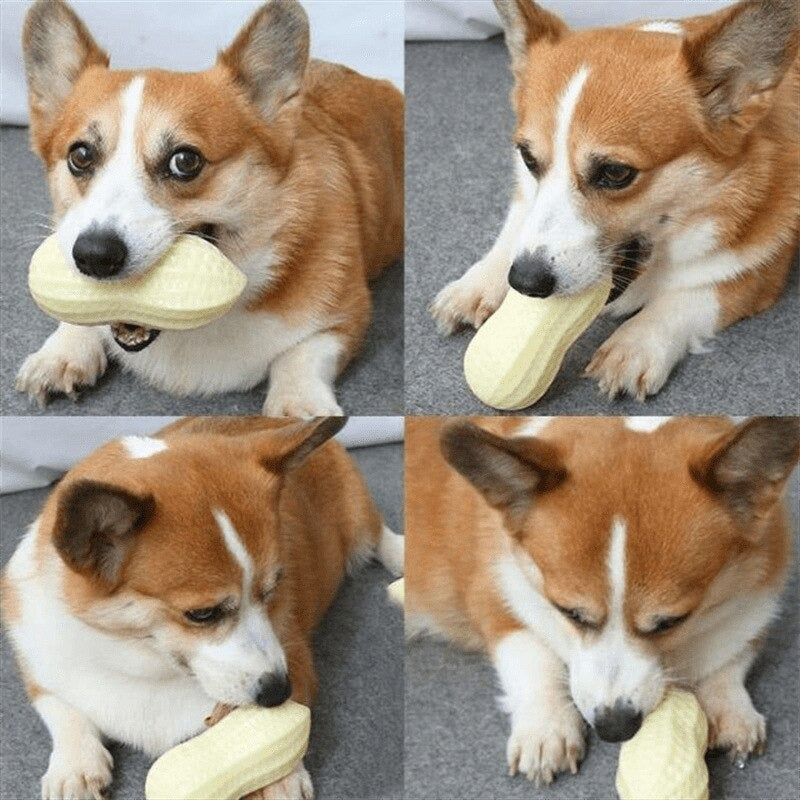 Sounding Toy Peanut Dog Toy
