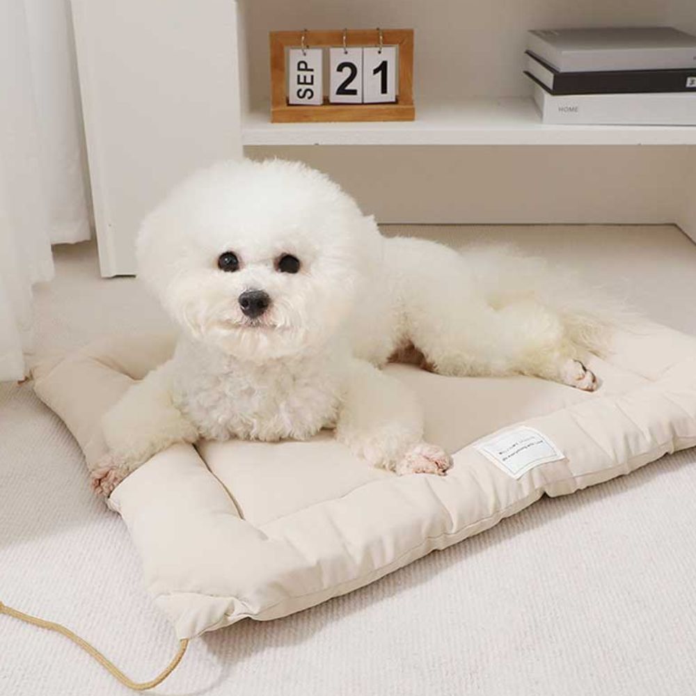 Pet Mat