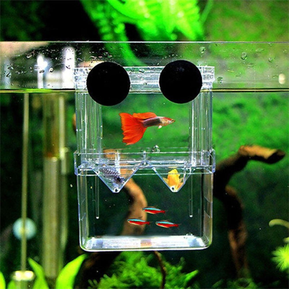 Multifunctional High Clear Fish Breeding Isolation Box