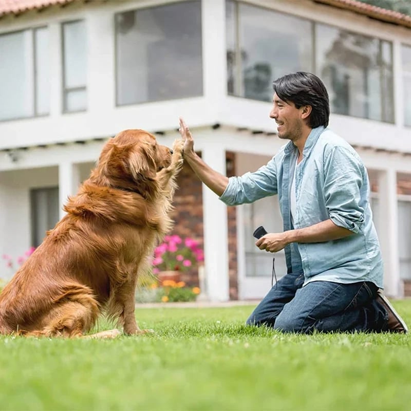 🔥Hot Sale- 48% OFF🔥Ultrasonic Anti Barking Dog Device-Buy 2 Free Shipping