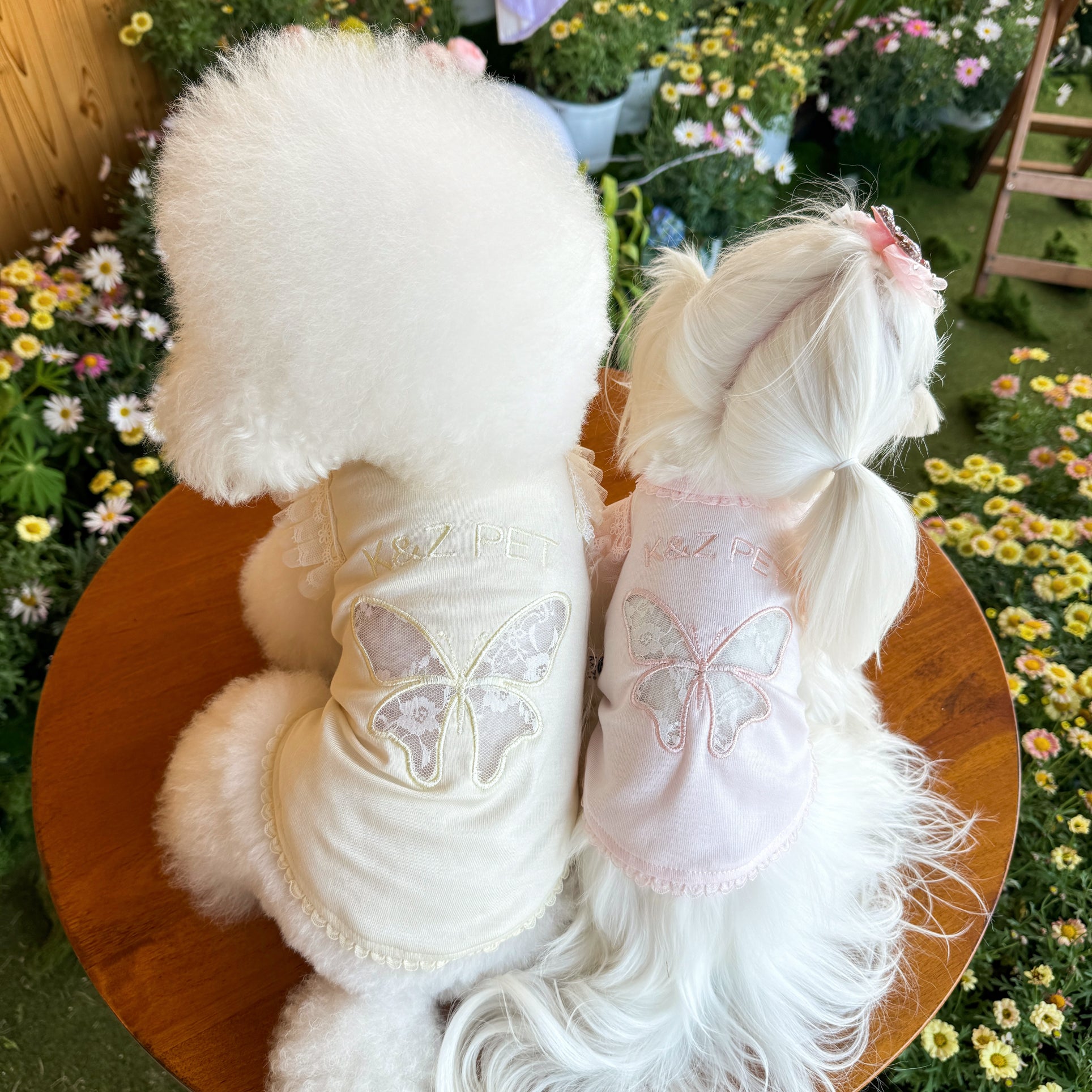 Sweet Lace Butterfly Dog Cat Tee