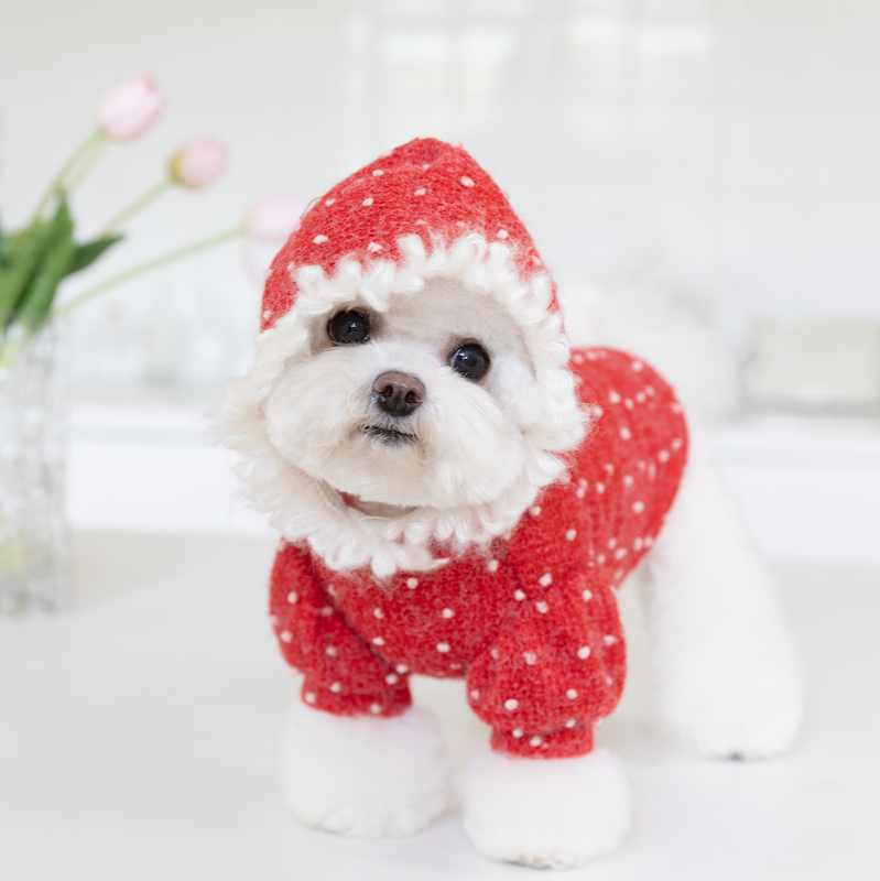 Sweet Polka Dot Knitted Dog Cat Hoodie